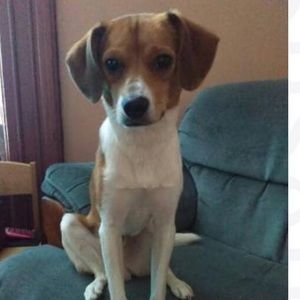 Meet your Posher, Sonja